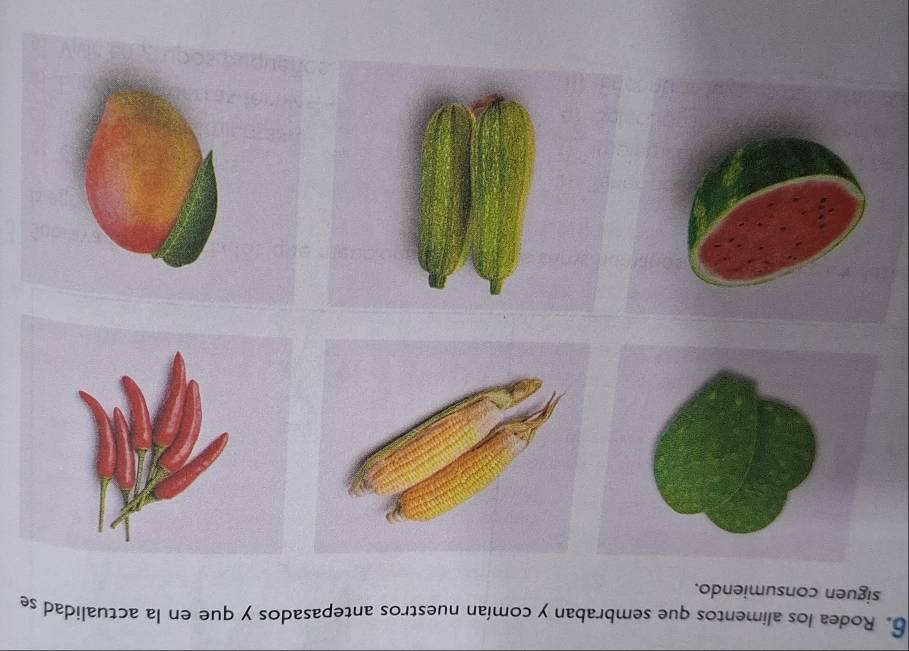 Rodea los alimentos que sembraban y comían nuestros antepasados y que en la actualidad se 
siguen consumiendo.