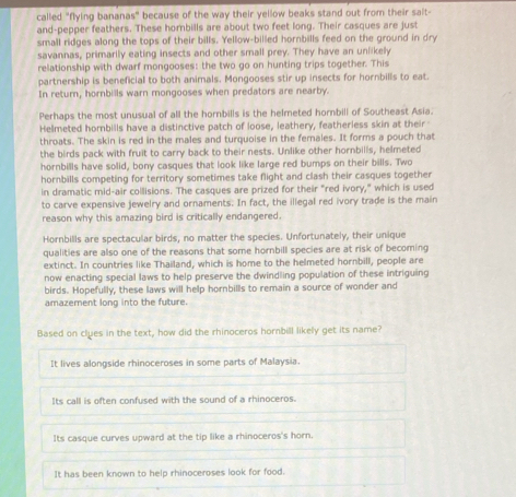 called "flying bananas" because of the way their yellow beaks stand out from their sait- 
and-pepper feathers. These hombills are about two feet long. Their casques are just 
small ridges along the tops of their bills. Yellow-billed hornbills feed on the ground in dry 
savannas, primarily eating insects and other small prey. They have an unlikely 
relationship with dwarf mongooses: the two go on hunting trips together. This 
partnership is beneficial to both animals. Mongooses stir up insects for hornbills to eat 
In return, hornbills warn mongooses when predators are nearby. 
Perhaps the most unusual of all the hornbills is the helmeted hornbill of Southeast Asia. 
Helmeted horbills have a distinctive patch of loose, leathery, featherless skin at their 
throats. The skin is red in the males and turquoise in the females. It forms a pouch that 
the birds pack with fruit to carry back to their nests. Unlike other hornbills, helmeted 
hornbills have solid, bony casques that look like large red bumps on their bills. Two 
hornbills competing for territory sometimes take flight and clash their casques together 
in dramatic mid-air collisions. The casques are prized for their "red ivory," which is used 
to carve expensive jewelry and ornaments. In fact, the illegal red ivory trade is the main 
reason why this amazing bird is critically endangered. 
Hornbills are spectacular birds, no matter the species. Unfortunately, their unique 
qualities are also one of the reasons that some hornbill species are at risk of becoming 
extinct. In countries like Thailand, which is home to the helmeted hornbill, people are 
now enacting special laws to help preserve the dwindling population of these intriguing 
birds. Hopefully, these laws will help hornbills to remain a source of wonder and 
amazement long into the future. 
Based on clues in the text, how did the rhinoceros hornbill likely get its name? 
It lives alongside rhinoceroses in some parts of Malaysia. 
Its call is often confused with the sound of a rhinoceros. 
Its casque curves upward at the tip like a rhinoceros's horn. 
It has been known to help rhinoceroses look for food.