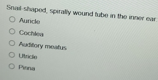 Snail-shaped, spirally wound tube in the inner ear:
Auricle
Cochlea
Auditory meatus
Utricle
Pinna