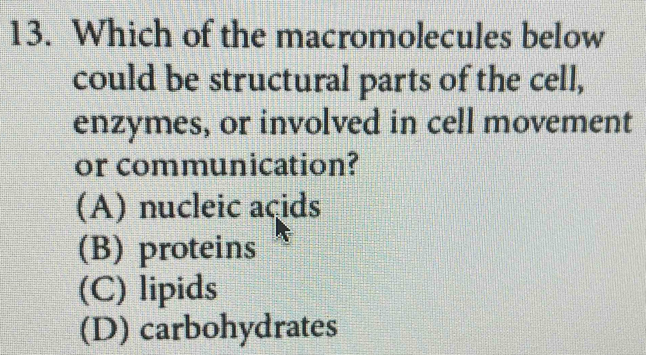 Which of the macromolecules below
could be structural parts of the cell,
enzymes, or involved in cell movement
or communication?
(A) nucleic acids
(B) proteins
(C) lipids
(D) carbohydrates