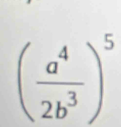 ( a^4/2b^3 )^5