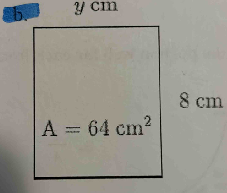 y cm
8 cm
A=64cm^2