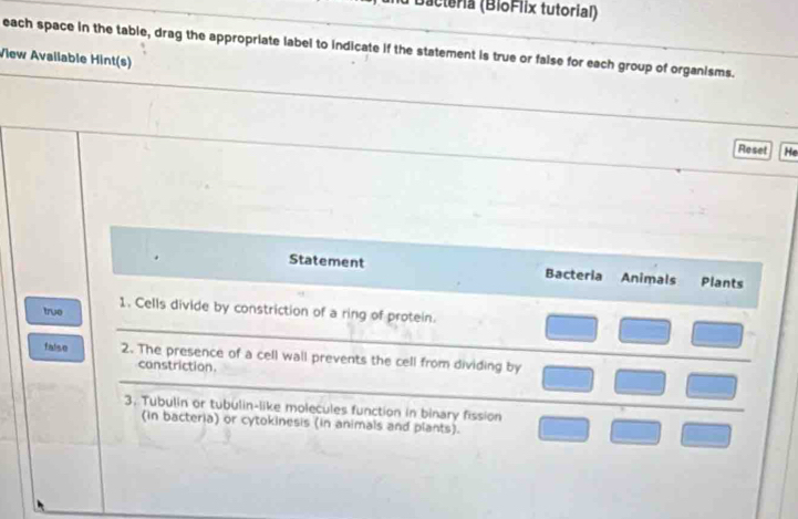 Bactoria (BioFlix tutorial) 
each space in the table, drag the appropriate label to indicate if the statement is true or false for each group of organisms. 
View Avaliable Hint(s) 
Reset He 
Statement Bactería Animals Plants 
_ 
true 1. Cells divide by constriction of a ring of protein. 
_ 
false 2. The presence of a cell wall prevents the cell from dividing by 
constriction. 
_ 
_ 
3. Tubulin or tubulin-like molecules function in binary fission 
(in bacteria) or cytokinesis (in animals and plants).