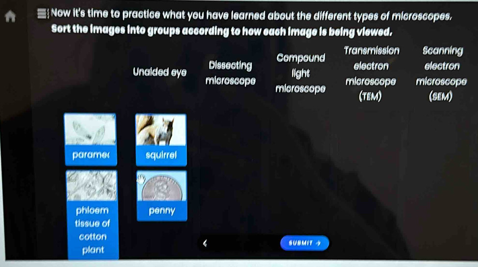 Solved: Now it's time to practice what you have learned about the ...