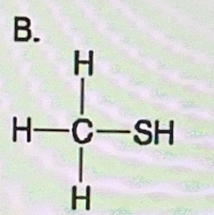 H-C HC--SH