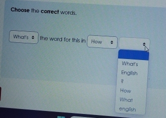 Choose the correct words. 
What's $ the word for this in How 
What's 
English 
How 
What 
english