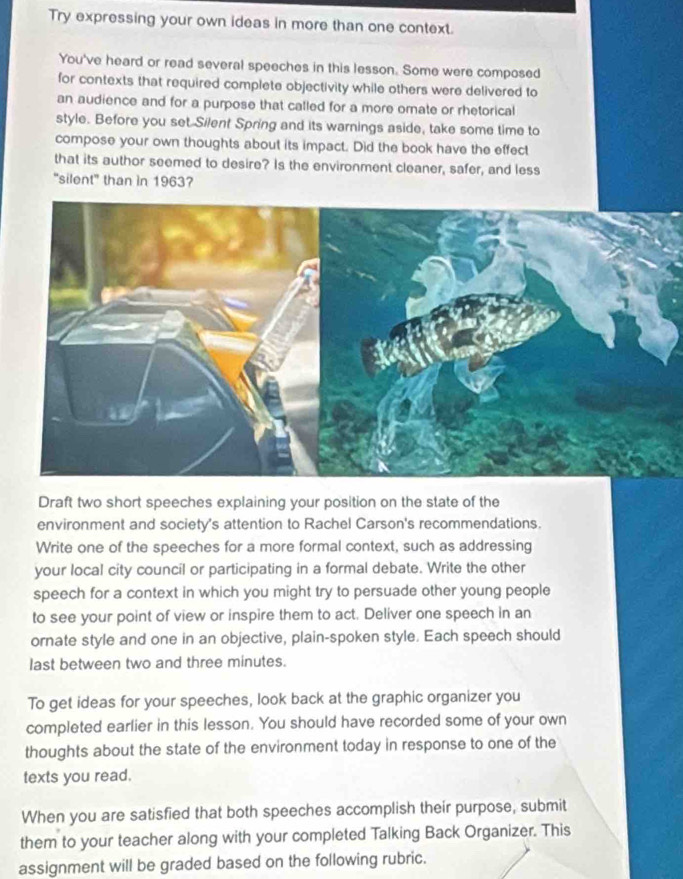 Try expressing your own ideas in more than one context. 
You've heard or read several speeches in this lesson. Some were composed 
for contexts that required complete objectivity while others were delivered to 
an audience and for a purpose that called for a more ornate or rhetorical 
style. Before you set Silent Spring and its warnings aside, take some time to 
compose your own thoughts about its impact. Did the book have the effect 
that its author seemed to desire? Is the environment cleaner, safer, and less 
"silent" than in 1963? 
Draft two short speeches explaining your position on the state of the 
environment and society's attention to Rachel Carson's recommendations. 
Write one of the speeches for a more formal context, such as addressing 
your local city council or participating in a formal debate. Write the other 
speech for a context in which you might try to persuade other young people 
to see your point of view or inspire them to act. Deliver one speech in an 
ornate style and one in an objective, plain-spoken style. Each speech should 
last between two and three minutes. 
To get ideas for your speeches, look back at the graphic organizer you 
completed earlier in this lesson. You should have recorded some of your own 
thoughts about the state of the environment today in response to one of the 
texts you read. 
When you are satisfied that both speeches accomplish their purpose, submit 
them to your teacher along with your completed Talking Back Organizer. This 
assignment will be graded based on the following rubric.