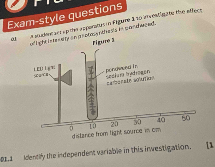 Exam-style questions 
01udent set up the apparatus in Figure 1 to investigate the effect 
tosynthesis in pondweed. 
01.1 Identify the independent variable in this investigation. [1