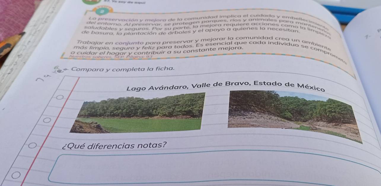 La preservación y mejora de la comunidad implica el cuidado y embellecimiento 
del entorno. Al preservar, se protegen parques, ríos y animales para mantenerio 
saludables y seguros. Por su parte, la mejora requiere acciones comó la limpiezo 
de basura, la plantación de árboles y el apoyo a quienes lo necesitan. 
7. 
Trabajar en conjunto para preservar y mejorar la comunidad crea un ambiente 
a cuidar el hogar y contribuir a su constante mejora. 
más limpio, seguro y feliz para todos. Es esencial que cada individuo se comprometo 
Nuestros saberes, SE P, Página: 93 
Lago Avándaro, Valle de Bravo, Estado de Mé 
¿Qué diferencias notas?