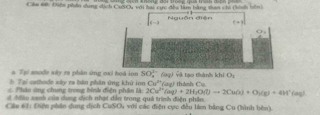 trong đùng địch không đôi trong quả trình điện phân 
Câu 60: Điện phần dung dịch CuSO, với hai cực đều làm bằng than chi (hình bên) 
n d 
() 
a 
a Tại anode xây ra phân ứng oxi hoá ion SO_4^((2-) (aa a ) và tạo thành khí O_2)
b Tại cathode xây ra bản phản ứng khử ion Cu^(2+)(aq) thành Cu. 
c. Phản ứng chung trong bình điện phân là: 2Cu^(2+)(aq)+2H_2O(l)to 2Cu(s)+O_2(g)+4H^+(aq)
d. Màu xanh của dung dịch nhạt dân trong quá trình điện phân. 
Cân #1: Diện phân dung dịch CuSO₄ với các điện cực đều làm bằng Cu (hình bên).