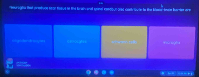 Neuroglia that produce scar tissue in the brain and spinal cordbut also contribute to the blood-brain barrier are
oligodendrocytes astrocytes schwann cells microglia
ANTHONY VONTHADEN
Decti