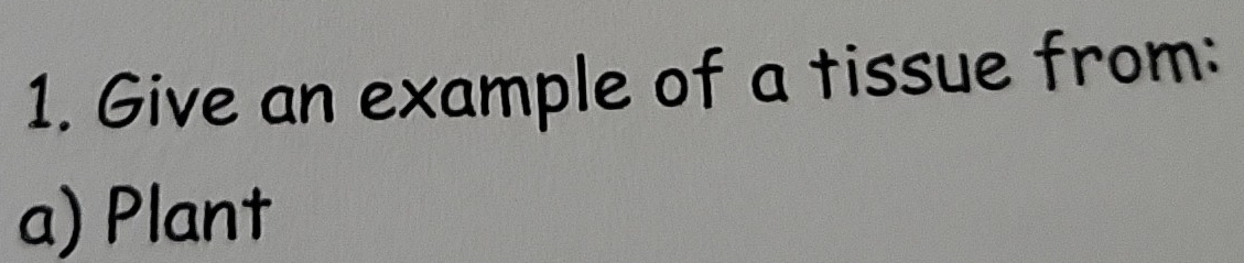 Give an example of a tissue from: 
a) Plant