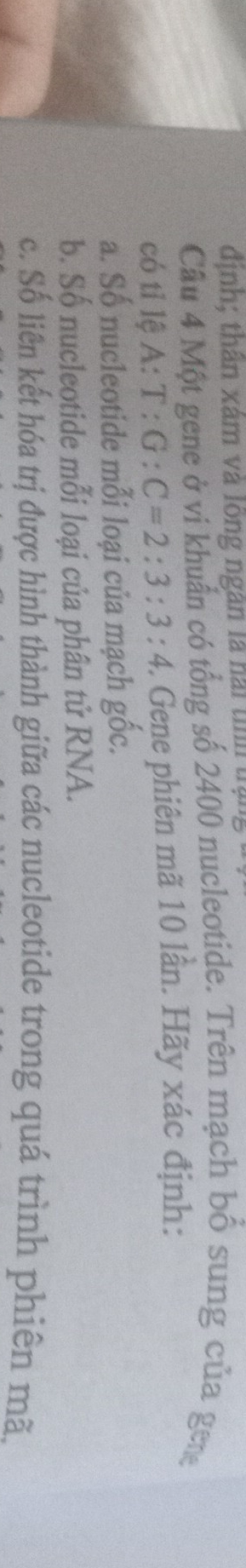 định; thân xâm và long ngân là hài tính trắng
Câu 4 Một gene ở vi khuẩn có tổng số 2400 nucleotide. Trên mạch bổ sung của geng
có tỉ lệ A: T:G:C=2:3:3:4 3. Gene phiên mã 10 lần. Hãy xác định:
a. Số nucleotide mỗi loại của mạch gốc.
b. Số nucleotide mỗi loại của phân tử RNA.
c. Số liên kết hóa trị được hình thành giữa các nucleotide trong quá trình phiên mã