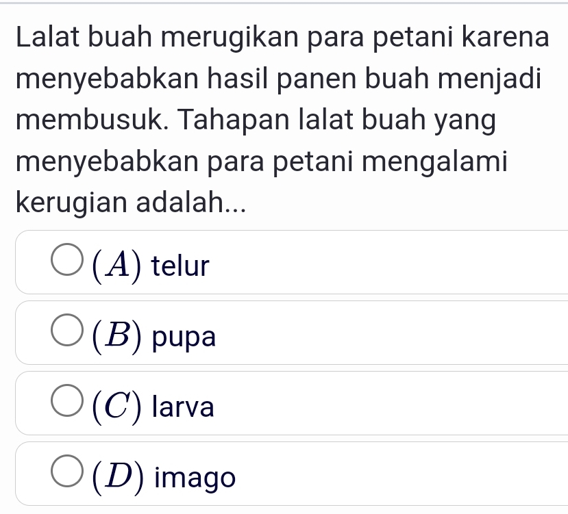 Lalat buah merugikan para petani karena
menyebabkan hasil panen buah menjadi
membusuk. Tahapan lalat buah yang
menyebabkan para petani mengalami
kerugian adalah...
(A) telur
(B) pupa
(C) larva
(D) imago