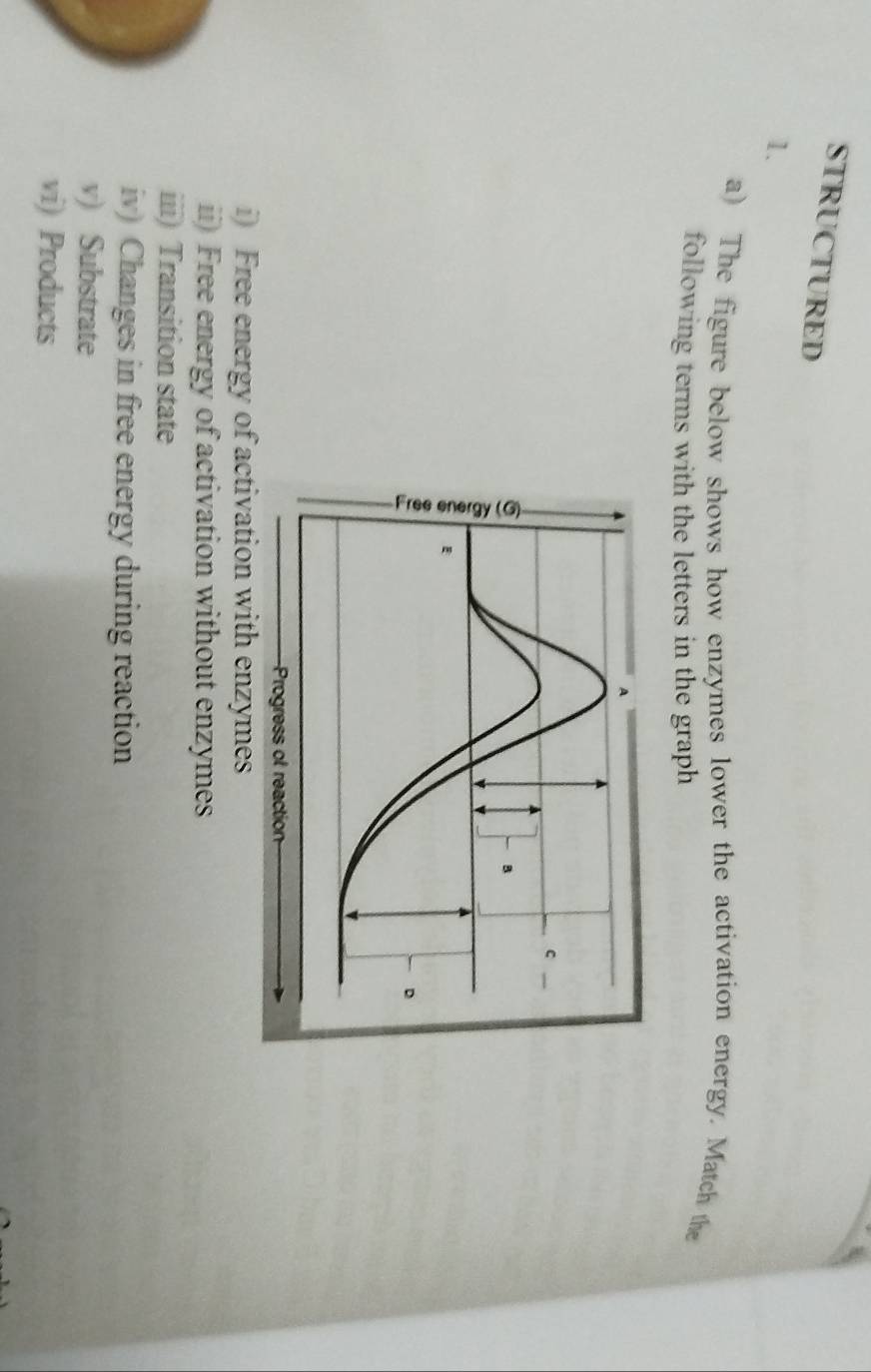 STRUCTURED 
1. 
a) The figure below shows how enzymes lower the activation energy. Match the 
following terms with the letters in the graph 
i) Free energy of activation with enzymes 
ii) Free energy of activation without enzymes 
iii) Transition state 
iv) Changes in free energy during reaction 
v) Substrate 
vi) Products