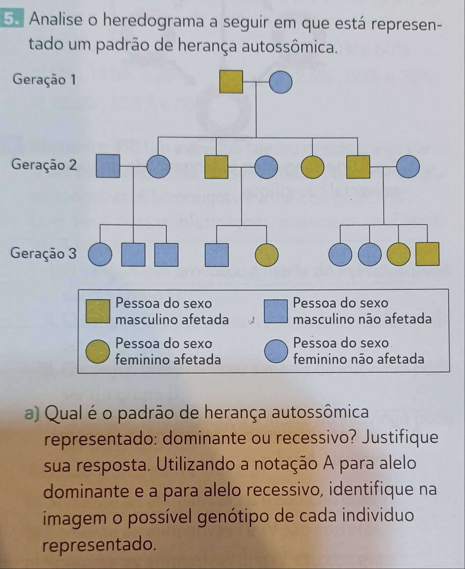 Analise o heredograma a seguir em que está represen-
tado um padrão de herança autossômica.
Pessoa do sexo Pessoa do sexo
masculino afetada masculino não afetada
Pessoa do sexo Pessoa do sexo
feminino afetada feminino não afetada
a) Qual é o padrão de herança autossômica
representado: dominante ou recessivo? Justifique
sua resposta. Utilizando a notação A para alelo
dominante e a para alelo recessivo, identifique na
imagem o possível genótipo de cada individuo
representado.