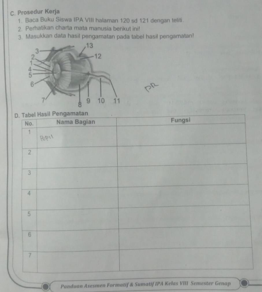 Prosedur Kerja 
1. Baca Buku Siswa IPA VIII halaman 120 sd 121 dengan teliti. 
2. Perhatikan charta mata manusia berikut ini! 
3. Masukkan data hasil pengamatan pada tabel hasil pengamatan! 
Panduan Asesmen Formatif & Sumatif IPA Kelas VIII Semester Genap