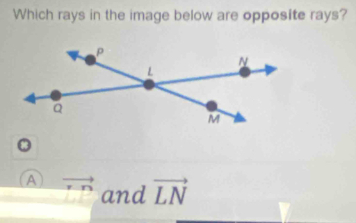 Which rays in the image below are opposite rays?
A vector rn and vector LN