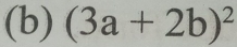 (3a+2b)^2