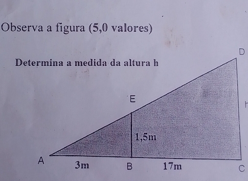 Observa a figura (5,0 valores)