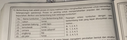 Berkembang biak adalah proses di mana makhluk hidup menghasilkan keturunan untuk memastikan N
kelangsungan spesiesnya. Proses ini penting untuk mempertahankan populasī dan mencegah 1
rikut cara berkembang biak beberapa tumbuhan!
asargan antara tumbuhan dengan cara
erkembang biak yang tepat ditunjukkan oleh .
omor..... 1, 2, 4, 5 . 1, 3, 4, 6 . 2, 3, 4, 5 . 2, 4, 5, 6
alog ir di mana hewan mengalami perubahan bentuk dan struktu 1°