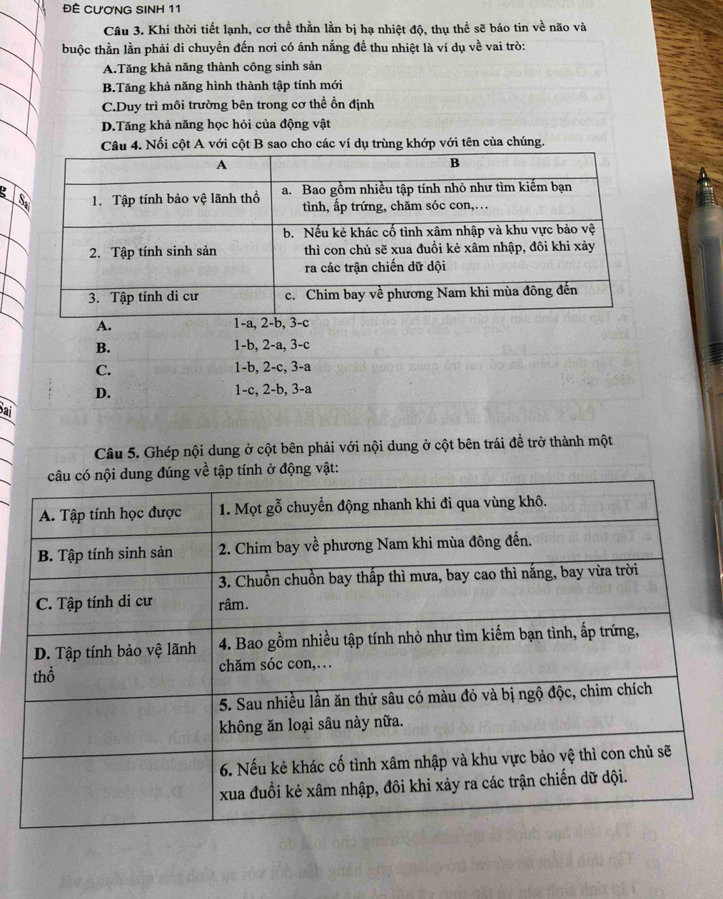 ĐÊ CƯơNG SINH 11
Câu 3. Khi thời tiết lạnh, cơ thể thằn lần bị hạ nhiệt độ, thụ thể sẽ báo tin về não và
buộc thằn lằn phải di chuyền đến nơi có ánh nắng đề thu nhiệt là ví dụ về vai trò:
A.Tăng khả năng thành công sinh sản
B.Tăng khả năng hình thành tập tính mới
C.Duy trì môi trường bên trong cơ thể ổn định
D.Tăng khả năng học hỏi của động vật
Câu 4. Nối cột A với cột B sao cho các ví dụ trùng khớp với tên của chúng.
A. 1-a, 2
B. 1-b, 2-a, 3-c
C. 1-b, 2-c, 3-a
D. 1-c, 2-b, 3-a
Sai
Câu 5. Ghép nội dung ở cột bên phải với nội dung ở cột bên trái đề trở thành một
ập tính ở động vật: