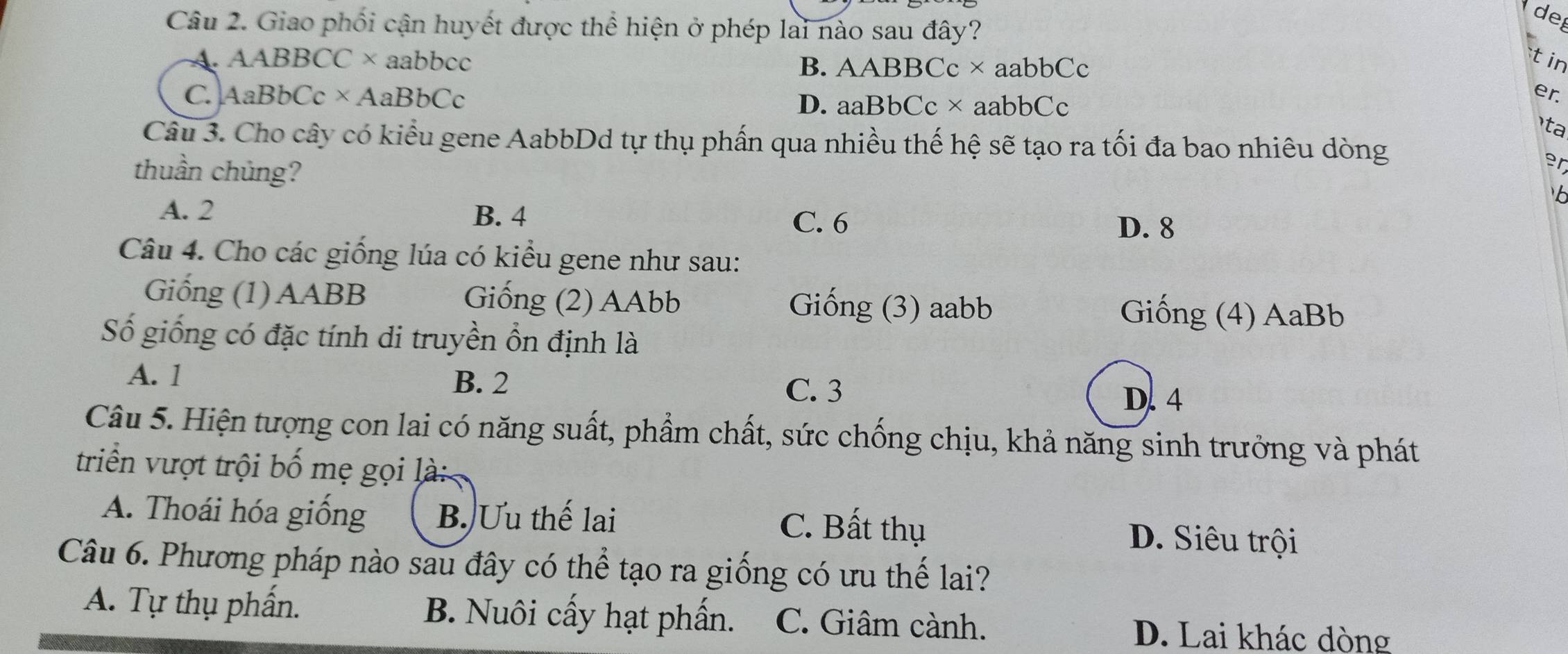 Giao phối cận huyết được thể hiện ở phép lai nào sau đây?
del
A. AABBCC × aabbcc B. AABBCc× aabbCc
t in
C. AaBbCc×AaBbCc er.
D. aaBbCc× aabbCc
ta
Câu 3. Cho cây có kiểu gene AabbDd tự thụ phần qua nhiều thế hệ sẽ tạo ra tối đa bao nhiêu dòng
thuần chủng?
er
A. 2 B. 4
C. 6 D. 8
Câu 4. Cho các giống lúa có kiểu gene như sau:
Giống (1) AABB Giống (2) AAbb Giống (3) aabb Giống (4) AaBb
Số giống có đặc tính di truyền ổn định là
A. 1 B. 2 C. 3
D. 4
Câu 5. Hiện tượng con lai có năng suất, phẩm chất, sức chống chịu, khả năng sinh trưởng và phát
triển vượt trội bố mẹ gọi là:
A. Thoái hóa giống B. Ưu thế lai C. Bất thụ D. Siêu trội
Câu 6. Phương pháp nào sau đây có thể tạo ra giống có ưu thế lai?
A. Tự thụ phấn. B. Nuôi cấy hạt phần. C. Giâm cành.
D. Lai khác dòng