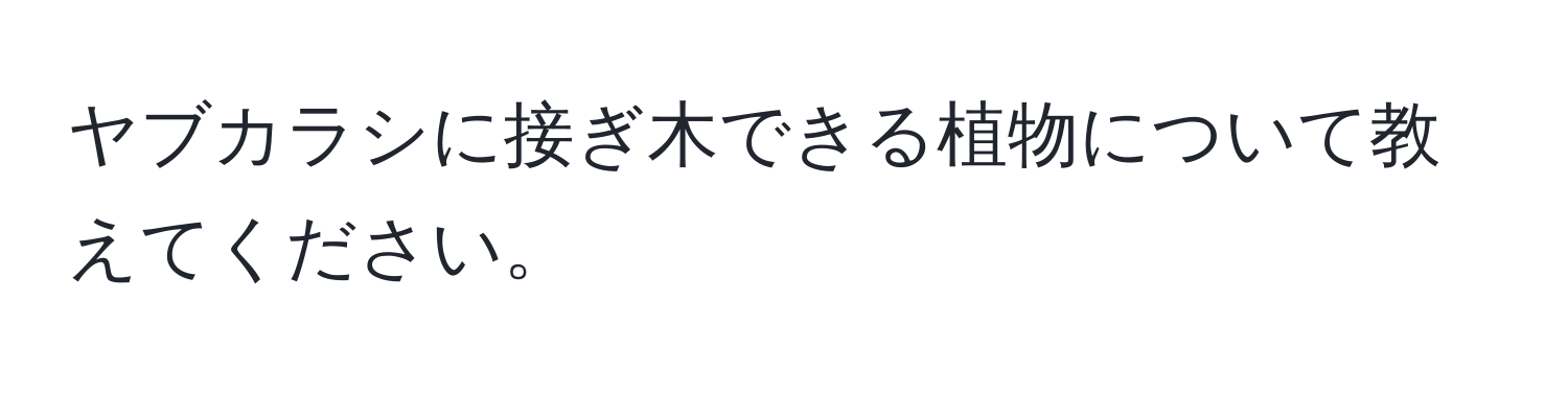 ヤブカラシに接ぎ木できる植物について教えてください。