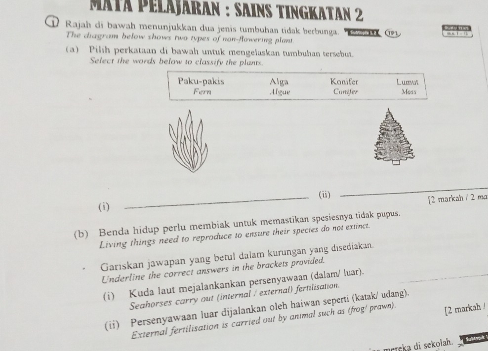 MaTa PeläjāraN : SaINS TINGKaTaN 2
D Rajah di bawah menunjukkan dua jenis tumbuhan tidak berbunga. TP 1 m.s. 7 = 5
The diagram below shows two types of non-flowering plant
(a) Pilih perkataan di bawah untuk mengelaskan tumbuhan tersebut.
Select the words below to classify the plants.
Paku-pakis Alga Konifer Lumut
Fern Algue Conifer Moss
_(ii)
_
[2 markah / 2 ma
(i)
(b) Benda hidup perlu membiak untuk memastikan spesiesnya tidak pupus.
Living things need to reproduce to ensure their species do not extinct.
Gariskan jawapan yang betul dalam kurungan yang disediakan.
Underline the correct answers in the brackets provided.
(i) Kuda laut mejalankankan persenyawaan (dalam/ luar).
Seahorses carry out (internal / external) fertilisation.
(ii) Persenyawaan luar dijalankan oleh haiwan seperti (katak/ udang).
External fertilisation is carried out by animal such as (frog/ prawn).
[2 markah /
mereka di sekolah. Subtapik 1