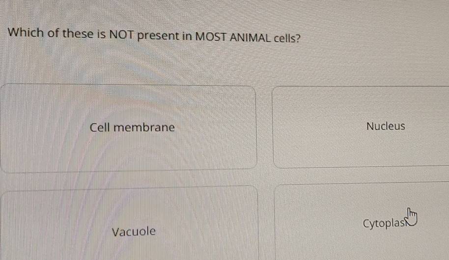 Which of these is NOT present in MOST ANIMAL cells?
Cell membrane Nucleus
Vacuole Cytoplas