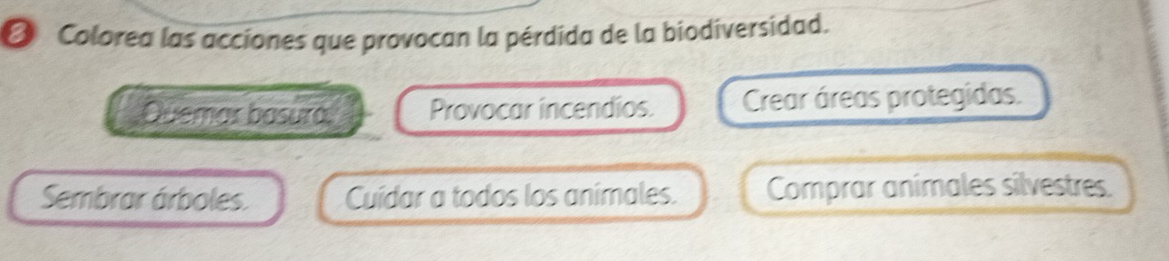 Colorea las acciones que provocan la pérdida de la biodiversidad.
Quemar basura, Provocar incendios. Crear áreas protegidas.
Sembrar árboles. Cuídar a todos los animales. Comprar animales silvestres.