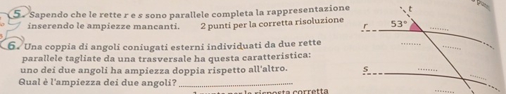 Sapendo che le rette r e s sono parallele completa la rappresentazione
inserendo le ampiezze mancanti. 2 punti per la corretta risoluzione
6. Una coppia di angoli coniugati esterni individuati da due rette
parallele tagliate da una trasversale ha questa caratteristica:
uno dei due angoli ha ampiezza doppia rispetto all'altro. 
Qual è l'ampiezza dei due angoli?_