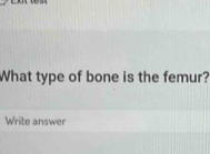 What type of bone is the femur? 
Write answer