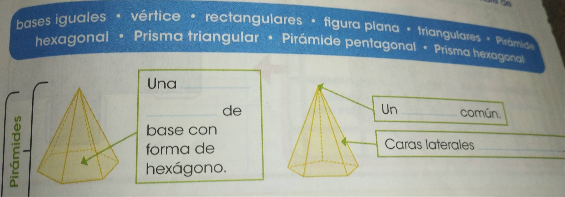 bases iguales • vértice • rectangulares • figura plana · triangulares • Pirámide 
hexagonal • Prisma triangular • Pirámide pentagonal • Prisma hexagonal 
Una_ 
Un 
_decomún. 
E 
base con 
_ 
_ 
forma de 
Caras laterales_ 
hexágono.