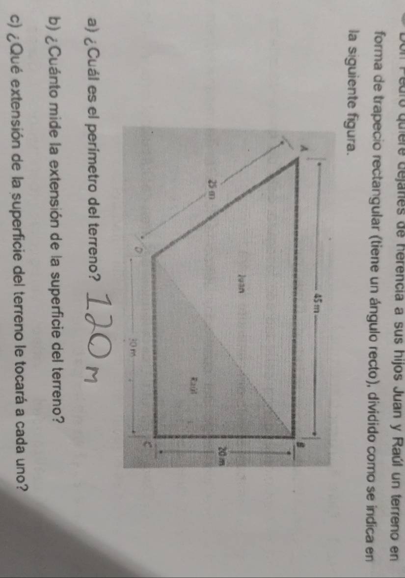 Pedro quiere dejaries de herencia a sus hijos Juan y Raúl un terreno en 
forma de trapecio rectangular (tiene un ángulo recto), dividido como se indica en 
la siguiente figura. 
a) ¿Cuál es el perimetro del terreno? 
b) ¿Cuánto mide la extensión de la superficie del terreno? 
c) ¿Qué extensión de la superficie del terreno le tocará a cada uno?