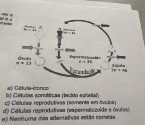 ver a
al é
me
a) Célula-tronco
b) Células somáticas (tecido epitelial)
c) Células reprodutivas (somente em óvulos)
d) Células reprodutivas (espermatozoide e óvulos)
e) Nenhuma das alternativas estão corretas