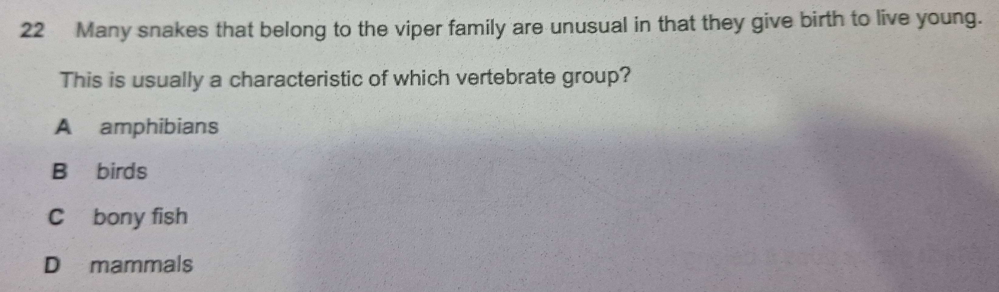 Many snakes that belong to the viper family are unusual in that they give birth to live young.
This is usually a characteristic of which vertebrate group?
A amphibians
B birds
C bony fish
D mammals