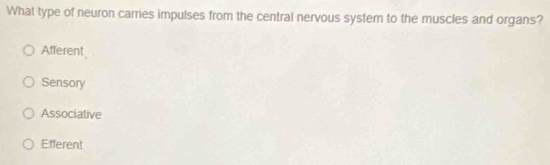 What type of neuron carres impulses from the central nervous system to the muscles and organs?
Afferent
Sensory
Associative
Efferent