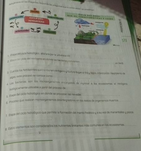 Apoulindate en las imageries, resporde las preguntas que a continuación se presentar 
Fhación qué es. Camacterísticas y fases 
ciclo del agva 
e é C deSIsTRIfICAcióN 
NITROCENO CICLO DEL 

hitrificación T 
T Atnhaón 
179 
_ 
Etapardel ciola hidrológico, alterada por la urbanización, 
_ 
2. Etapa del ciolo del nitrógeno en donde las bacteras convierten_ en NH3 
s Cuando los fertilizantes que contienen nitrógeno y fesforo llegan a ríos y lagos, provocando cresinvento de 
algas, este proceso se conoce como_ 
4. Las bacterias son los microorganísmos encargados de ingresar a los ecosiatemas el nitrógene 
biológicamente utilizable a partir del proceso de_ 
s. Etapa del ciclo hidrológico en donde se provocan las nevadas_ 
s Proceso que realizan microorganismos desintegradores en los restos de organismos muertos_ 
_ 
7. Etapa del ciclo hidrológico que permite la formación del manto freático y a su vez de manantiales y pozos 
_ 
_ 
g Estos elementos son considerados los nutrientes limitantes más comunes en los ecosistemas_ 
_y