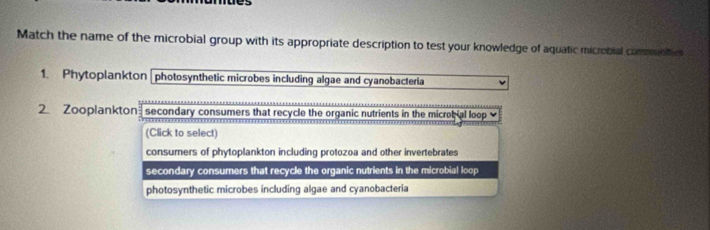 Match the name of the microbial group with its appropriate description to test your knowledge of aquatic microbial commn the 
1. Phytoplankton photosynthetic microbes including algae and cyanobacteria
2. Zooplankton secondary consumers that recycle the organic nutrients in the microbial loop 
(Click to select)
consumers of phytoplankton including protozoa and other invertebrates
secondary consumers that recycle the organic nutrients in the microbial loop
photosynthetic microbes including algae and cyanobacteria