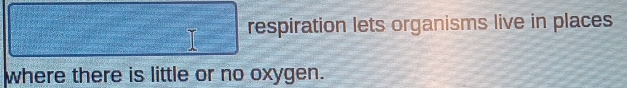 respiration lets organisms live in places 
where there is little or no oxygen.