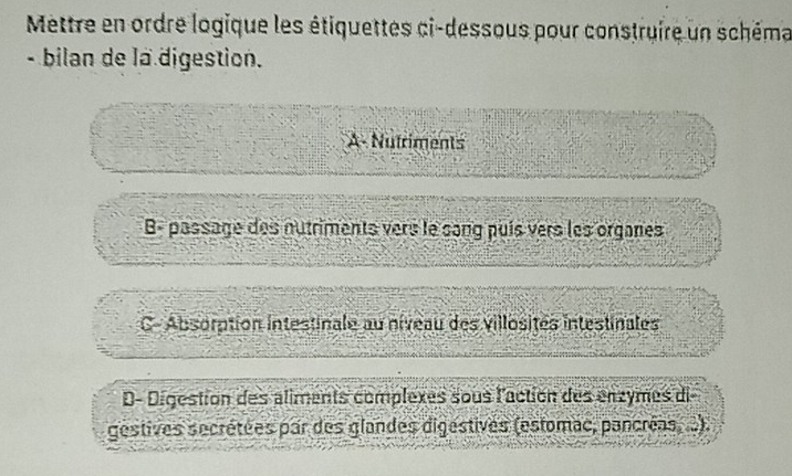 Mettre en ordre logique les étiquettes ci-dessous pour construire un schéma
- bilan de la digestion.
A- Nutriments
B- passage des nutriments vers le sang puis vers les organes
C- Absorption intestinale au niveau des villosités intestinales
D- Digestion des aliments complexes sous l'action des enzymes di
gestives secrétées par des glandes digestives (estomac, pancréas, .)