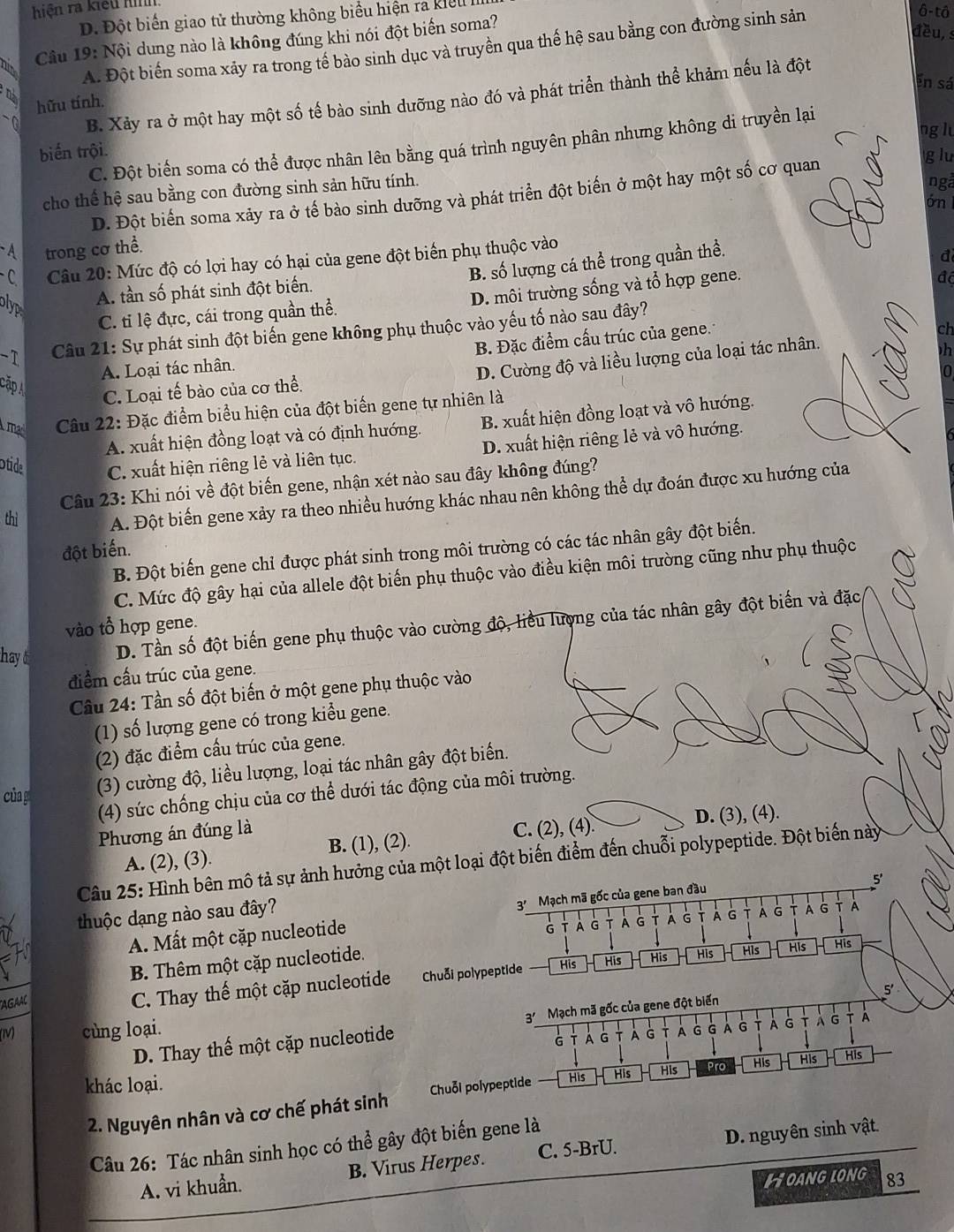 hiện ra kiểu Knh
D. Đột biến giao tử thường không biểu hiện ra kiểl
Câu 19: Nội dung nào là không đúng khi nói đột biến soma?
A. Đột biển soma xãy ra trong tế bào sinh dục và truyền qua thế hệ sau bằng con đường sinh sản
ô-tô
đều, s
en sá
B. Xảy ra ở một hay một số tế bào sinh dưỡng nào đó và phát triển thành thể khảm nếu là đột
hữu tính.
ng lu
C. Đột biển soma có thể được nhân lên bằng quá trình nguyên phân nhưng không di truyền lại
biến trội
g lu
cho thể hệ sau bằng con đường sinh sản hữu tính.
ngả
D. Đột biển soma xảy ra ở tế bào sinh dưỡng và phát triển đột biển ở một hay một số cơ quan
ớn 1
A trong cơ thể.
-C.  Câu 20: Mức độ có lợi hay có hại của gene đột biến phụ thuộc vào
B. số lượng cá thể trong quần thể.
đ
C. ti lệ đực, cái trong quần thể. D. môi trường sống và tổ hợp gene.
độ
olyp
A. tần số phát sinh đột biến.
-T Câu 21: Sự phát sinh đột biến gene không phụ thuộc vào yếu tố nào sau đây?
A. Loại tác nhân. B. Đặc điểm cấu trúc của gene.
ch
D. Cường độ và liều lượng của loại tác nhân.
 
0
Cặp
C. Loại tế bào của cơ thể.
A ma  Câu 22: Đặc điểm biểu hiện của đột biến gene tự nhiên là
A. xuất hiện đồng loạt và có định hướng. B. xuất hiện đồng loạt và vô hướng.
Otide C. xuất hiện riêng lẻ và liên tục. D. xuất hiện riêng lẻ và vô hướng.
Câu 23: Khi nói về đột biến gene, nhận xét nào sau đây không đúng?
thì A. Đột biến gene xảy ra theo nhiều hướng khác nhau nên không thể dự đoán được xu hướng của
đột biến.
B. Đột biến gene chỉ được phát sinh trong môi trường có các tác nhân gây đột biến.
C. Mức độ gây hại của allele đột biến phụ thuộc vào điều kiện môi trường cũng như phụ thuộc
hay D. Tần số đột biến gene phụ thuộc vào cường độ, liểu lượng của tác nhân gây đột biến và đặc
vào tổ hợp gene.
điểm cấu trúc của gene.
Câu 24: Tần số đột biến ở một gene phụ thuộc vào
(1) số lượng gene có trong kiểu gene.
(2) đặc điểm cầu trúc của gene.
của g
(3) cường độ, liều lượng, loại tác nhân gây đột biến.
(4) sức chống chịu của cơ thể dưới tác động của môi trường.
Phương án đúng là D. (3), (4).
C. (2), (4)
A. (2), (3). B. (1), (2).
Câu 25: Hình bên mô tả sự ảnh hưởng của một loại đột biến điểm đến chuỗi polypeptide. Đột biến này
5'
thuộc dạng nào sau đây?
A. Mất một cặp nucleotide 3' Mạch mã gốc của gene ban đầu
G T À G t à G T À g T A G A G À G T À
B. Thêm một cặp nucleotide.
AGAAC
C. Thay thể một cặp nucleotide Chuỗi polypeptide His His His His His His His
5'
(IV) cùng loại. 3' À G τ À G T A
D. Thay thế một cặp nucleotide Mạch mã gốc của gene đột biến
G T Á G Á G T A G G A G
khác loại. Pro His His His
2. Nguyên nhân và cơ chế phát sinh Chuỗi polypeptide His His His
Câu 26: Tác nhân sinh học có thể gây đột biến gene là
A. vi khuẩn. B. Virus Herpes. C. 5-BrU. D. nguyên sinh vật.
HOANG LONG 83