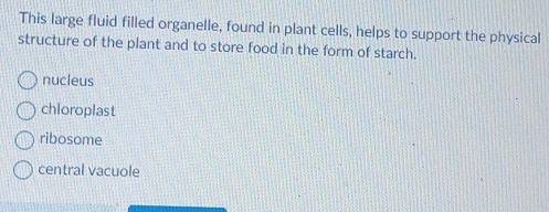 This large fluid filled organelle, found in plant cells, helps to support the physical
structure of the plant and to store food in the form of starch.
nucleus
chloroplast
ribosome
central vacuole