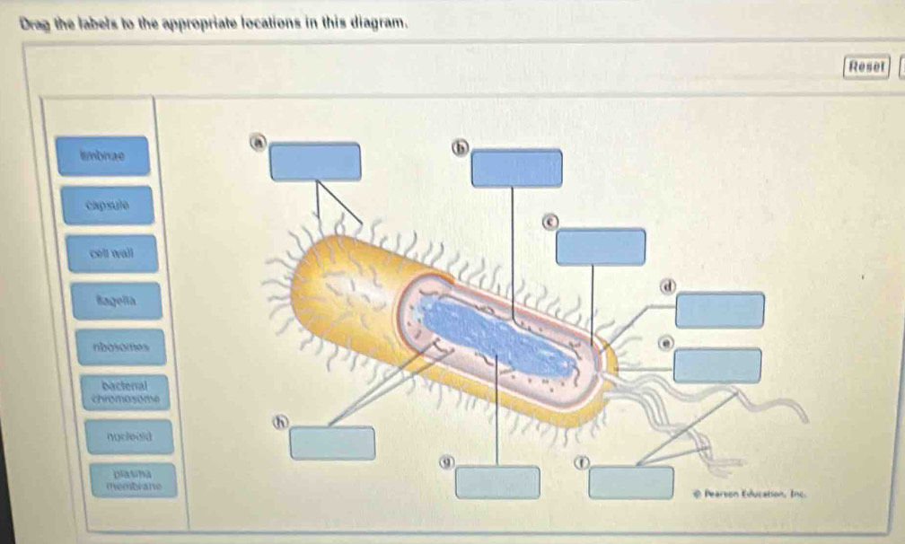 Solved: Drag the labels to the appropriate locations in this diagram ...