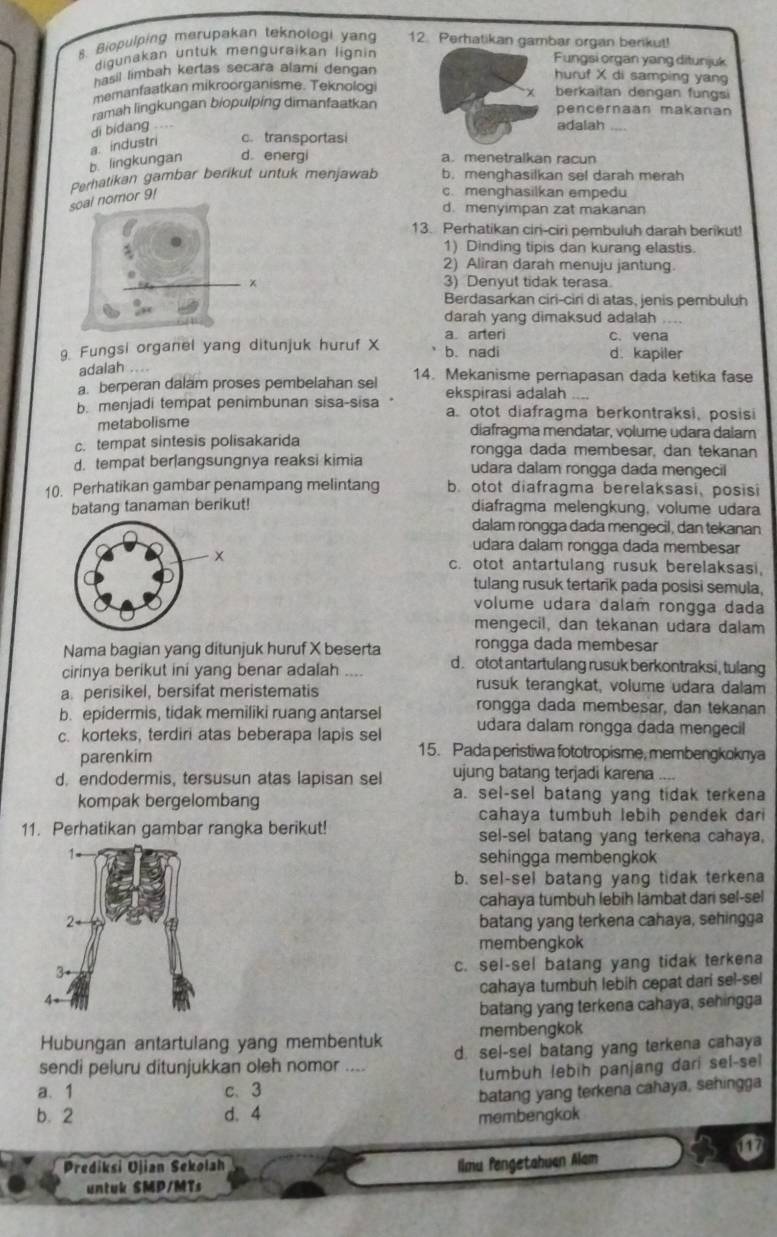 Biopulping merupakan teknologi yan 12. Perhatikan gambar organ berikut!
digunakan untuk menguraikan lignin
Fungsi organ yang ditunjuk
hasil limbah kertas secara alami dengan
huruf X di samping yang
memanfaatkan mikroorganisme. Teknologi berkaitan dengan fungsi
ramah lingkungan biopulping dimanfaatkan pencernaan makanan
di bidang       
adalah_
b lingkungan a. industri c. transportasi
d. energi a. menetralkan racun
Perhatikan gambar berikut untuk menjawab b. menghasilkan sel darah merah
soal nomor 91
c. menghasilkan empedu
d. menyimpan zat makanan
13. Perhatikan ciri-ciri pembuluh darah berikut!
1) Dinding tipis dan kurang elastis.
2) Aliran darah menuju jantung.
3) Denyut tidak terasa.
Berdasarkan ciri-ciri di atas, jenis pembuluh
darah yang dimaksud adalah_
a arteri c. vena
9. Fungsi organel yang ditunjuk huruf X b. nadi d. kapiler
adalah ....
a. berperan dalam proses pembelahan sel 14. Mekanisme pernapasan dada ketika fase
ekspirasi adalah_
b. menjadi tempat penimbunan sisa-sisa a. otot diafragma berkontraksi, posisi
metabolisme diafragma mendatar, volume udara dalam
c. tempat sintesis polisakarida rongga dada membesar, dan tekanan
d. tempat ber|angsungnya reaksi kimia udara dalam rongga dada mengecil
10. Perhatikan gambar penampang melintang b. otot diafragma berelaksasi, posisi
batang tanaman berikut! diafragma melengkung, volume udara
dalam rongga dada mengecil, dan tekanan
udara dalam rongga dada membesar
c. otot antartulang rusuk berelaksasi.
tulang rusuk tertarik pada posisi semula,
volume udara dalam rongga dada
mengecil, dan tekanan udara dalam
rongga dada membesar
Nama bagian yang ditunjuk huruf X beserta d. otot antartulang rusuk berkontraksi, tulang
cirinya berikut ini yang benar adalah rusuk terangkat, volume udara dalam
a. perisikel, bersifat meristematis
b. epidermis, tidak memiliki ruang antarsel rongga dada membesar, dan tekanan
c. korteks, terdiri atas beberapa lapis sel udara dalam rongga dada mengecil
parenkim
15. Pada peristiwa fototropisme, membengkoknya
d. endodermis, tersusun atas lapisan sel ujung batang terjadi karena
kompak bergelombang a. sel-sel batang yang tidak terkena
cahaya tumbuh lebih pendek dar
11. Perhatikan gambar rangka berikut! sel-sel batang yang terkena cahaya,
sehingga membengkok
b. sel-sel batang yang tidak terkena
cahaya tumbuh lebih lambat dari sel-sel
batang yang terkena cahaya, sehingga
membengkok
c. sel-sel batang yang tidak terkena
cahaya tumbuh lebih cepat dari sel-sel
batang yang terkena cahaya, sehingga
Hubungan antartulang yang membentuk membengkok
sendi peluru ditunjukkan oleh nomor .... d. sel-sel batang yang terkena cahaya
a. 1 c、 3 tumbuh lebih panjang dari sel-sel
b. 2 d. 4 batang yang terkena cahaya, sehingga
membengkok
Prediksi Ujian Sekolah Iimu fengetahuan Alam
untuk SMP/MTs