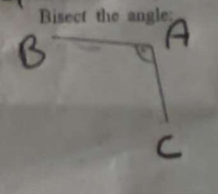 Bisect the angle: