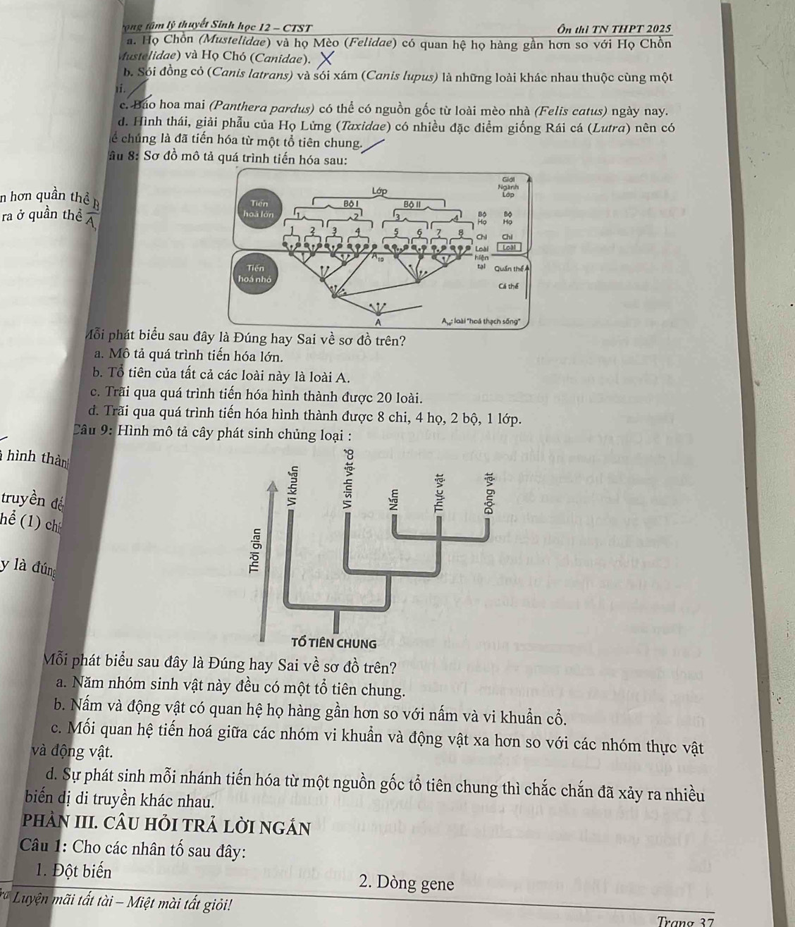 tọng tâm lý thuyết Sinh học 12 - CTST Ôn thì TN THPT 2025
a. Họ Chồn (Mustelidae) và họ Mèo (Felidae) có quan hệ họ hàng gần hơn so với Họ Chồn
ustelidae) và Họ Chó (Canidae).
b. Sói đồng cỏ (Canis latrans) và sói xám (Canis lupus) là những loài khác nhau thuộc cùng một
i.
c. Báo hoa mai (Panthera pardus) có thể có nguồn gốc từ loài mèo nhà (Felis catus) ngày nay.
d. Hình thái, giải phẫu của Họ Lừng (Taxidae) có nhiều đặc điểm giống Rái cá (Lutra) nên có
lể chúng là đã tiến hóa từ một tổ tiên chung.
ầu 8: Sơ đồ mô tả quá trình tiến hóa sau:
n hơn quần thể n
ra ở quần thể  1/4 
Mỗi phát biểu sau đây là Đúng hay Sai về sơ đồ trên?
a. Mô tả quá trình tiến hóa lớn.
b. Tổ tiên của tất cả các loài này là loài A.
c. Trãi qua quá trình tiến hóa hình thành được 20 loài.
đd. Trãi qua quá trình tiến hóa hình thành được 8 chi, 4 họ, 2 bộ, 1 lớp.
Câu 9: Hình mô tả cây phát sinh chủng loại :
hình thàn
truyền đế
hể (1) chí
y là đúng
Mỗi phát biểu sau đây là Đúng hay Sai về sơ đồ trên?
a. Năm nhóm sinh vật này đều có một tổ tiên chung.
b. Nấm và động vật có quan hệ họ hàng gần hơn so với nấm và vi khuẩn cổ.
c. Mối quan hệ tiến hoá giữa các nhóm vi khuẩn và động vật xa hơn so với các nhóm thực vật
và động vật.
d. Sự phát sinh mỗi nhánh tiến hóa từ một nguồn gốc tổ tiên chung thì chắc chắn đã xảy ra nhiều
biến dị di truyền khác nhau.
phÀN III. CÂU HỏI TRẢ LờI NGÁN
Câu 1: Cho các nhân tố sau đây:
1. Đột biến 2. Dòng gene
* Luyện mãi tất tài - Miệt mài tất giỏi!
Tranø 37