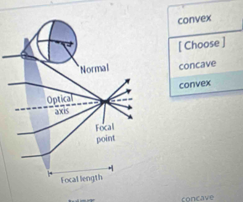 convex
[ Choose ]
concave
convex
imade concave