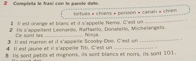 Completa le frasi con le parole date. 
tortues • chiens • poisson • canari • chien 
1 ll est orange et blanc et il s’appelle Nemo. C'est un 
_ 
2 Ils s'appellent Leonardo, Raffaello, Donatello, Michelangelo. 
_ 
Ce sont les _Ninja. 
3 Il est marron et il s'appelle Scooby-Doo. C’est un 
4 Il est jaune et il s’appelle Titi. C’est un_ 
5 Ils sont petits et mignons, ils sont blancs et noirs, ils sont 101.